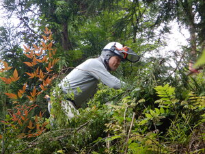 DSCN4122.JPG