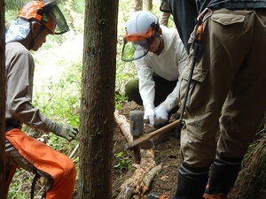 DSCN4146.JPG