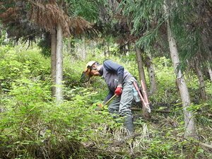DSCN4171.JPG