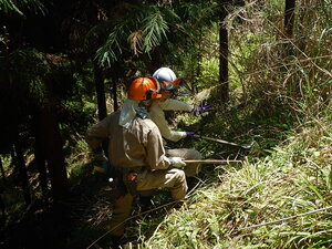 DSCN4338.JPG