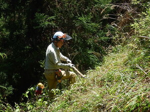 DSCN4350.JPG