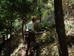 DSCN4365.JPG