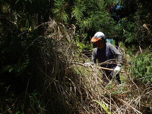 DSCN4372.JPG