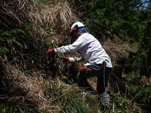 DSCN4377.JPG
