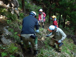 DSCN4413.JPG