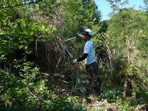 DSCN4431.JPG