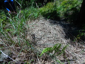 DSCN4908.JPG