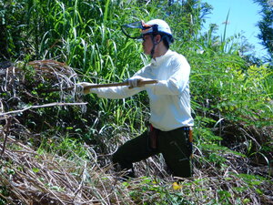DSCN4915.JPG