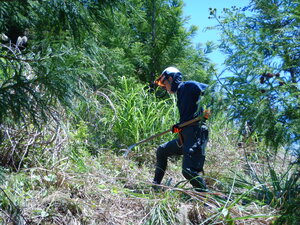 DSCN4917.JPG