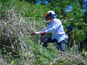DSCN4927.JPG