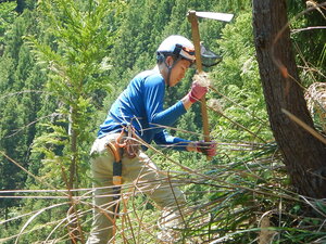 DSCN4930.JPG