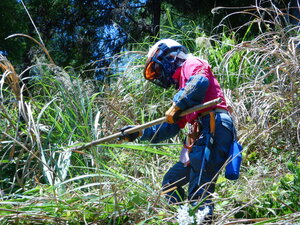 DSCN4947.JPG