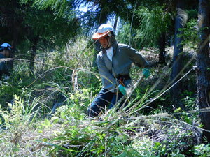 DSCN4973.JPG