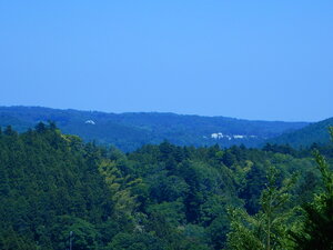 DSCN4982.JPG