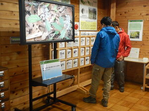 DSCN5136.JPG