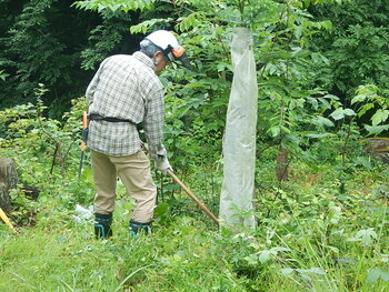 DSCN5812.JPG