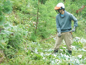 DSCN5840.JPG