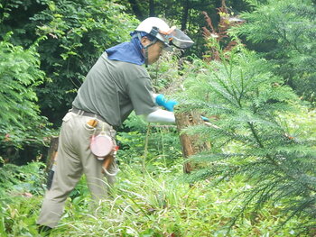 DSCN5858.JPG