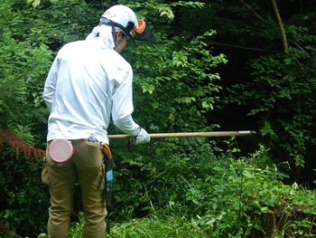 DSCN5862.JPG