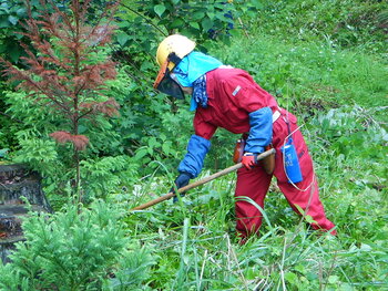 DSCN6188.JPG