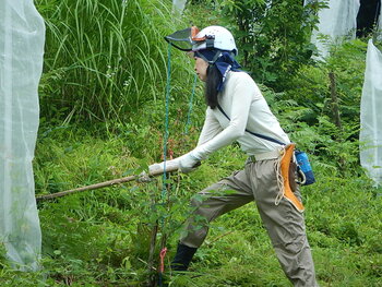 DSCN6450.JPG