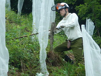 DSCN6463.JPG