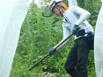DSCN6475.JPG