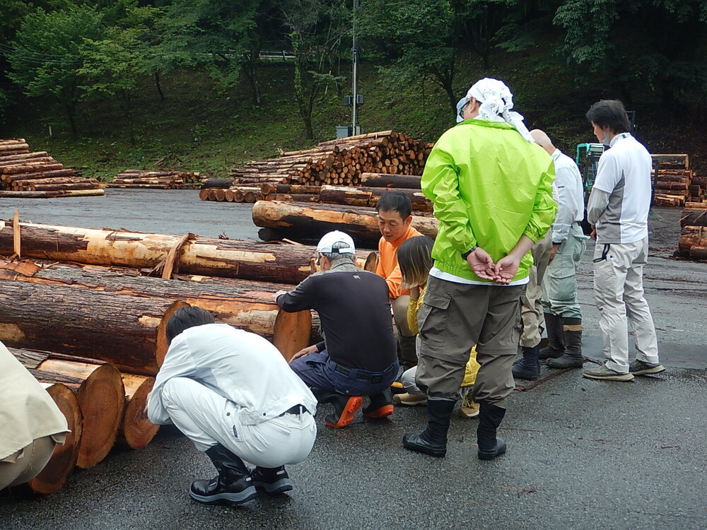 DSCN6693.JPG