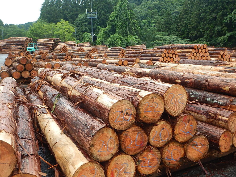 DSCN6708.JPG