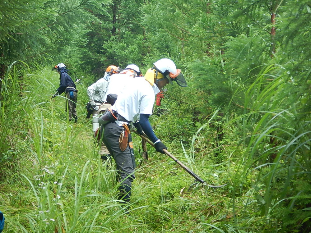 DSCN6717.JPG