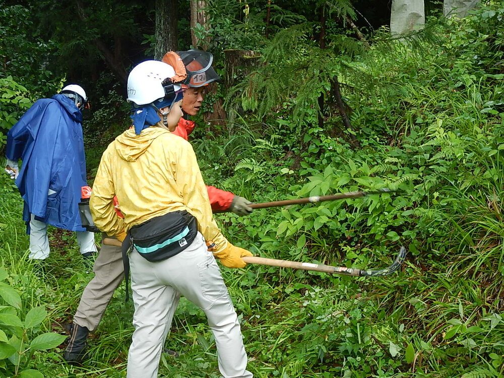 DSCN6736.JPG