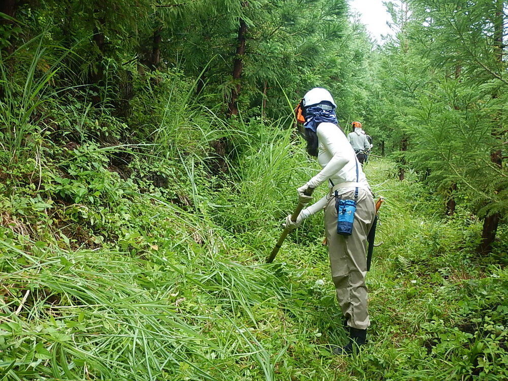 DSCN6748.JPG