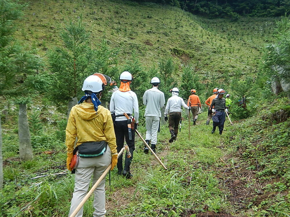DSCN6768.JPG