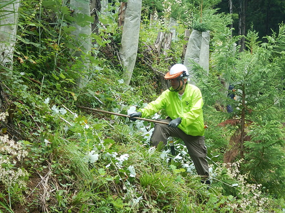 DSCN6773.JPG
