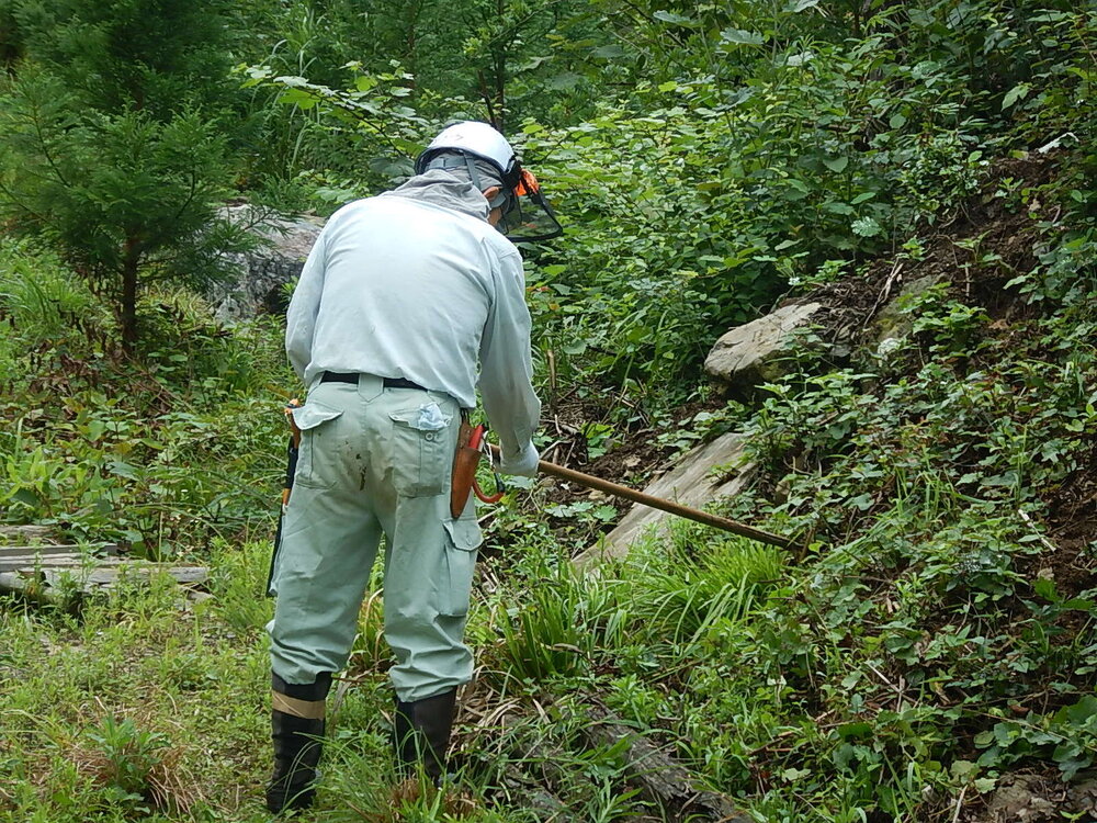 DSCN6774.JPG