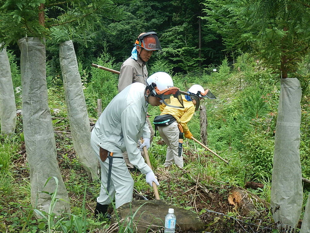 DSCN6779.JPG