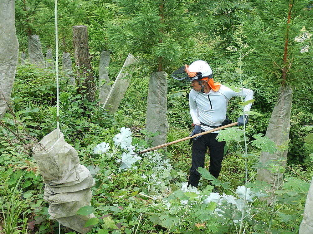 DSCN6782.JPG