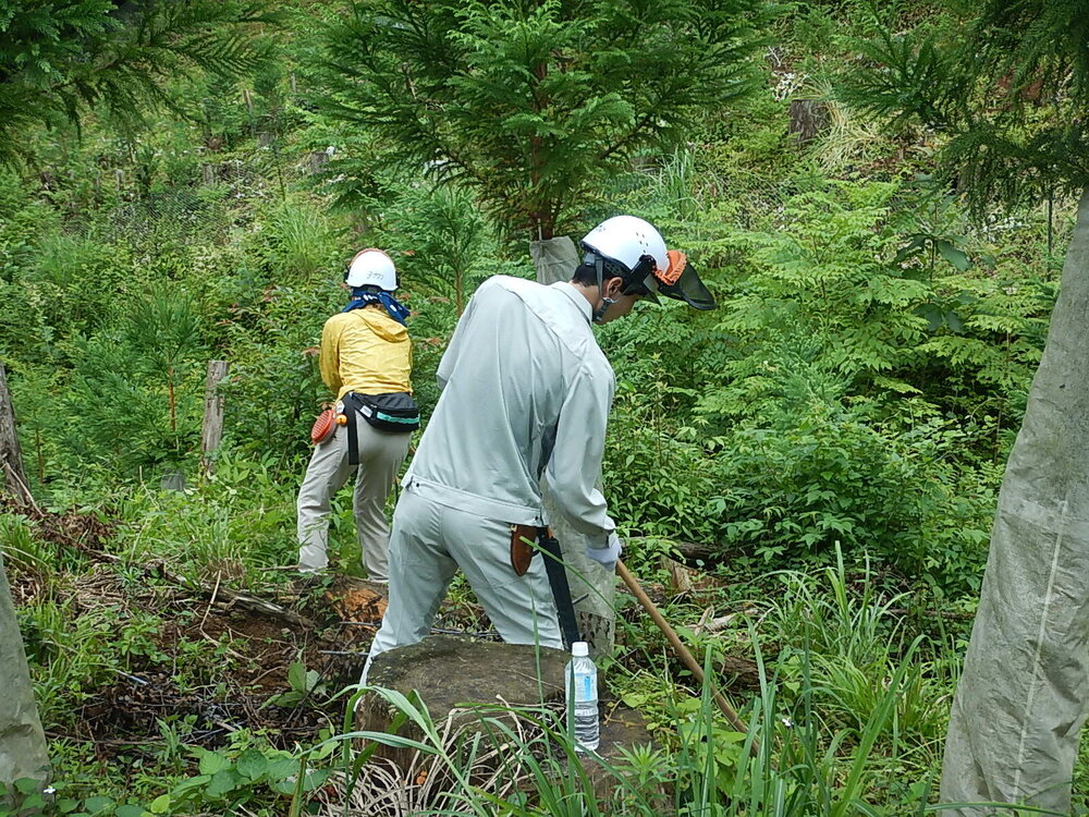 DSCN6787.JPG