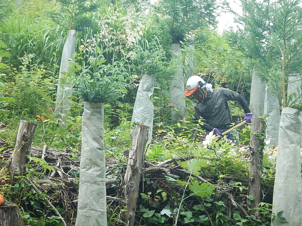 DSCN6792.JPG