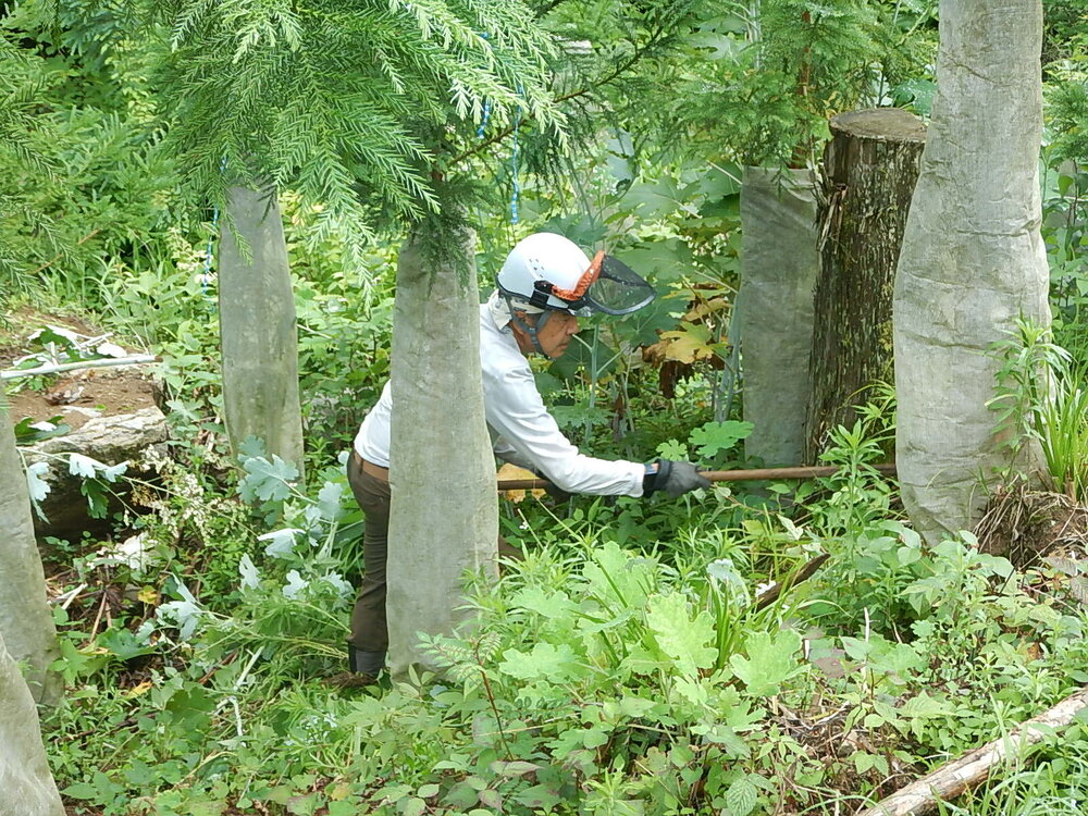 DSCN6796.JPG