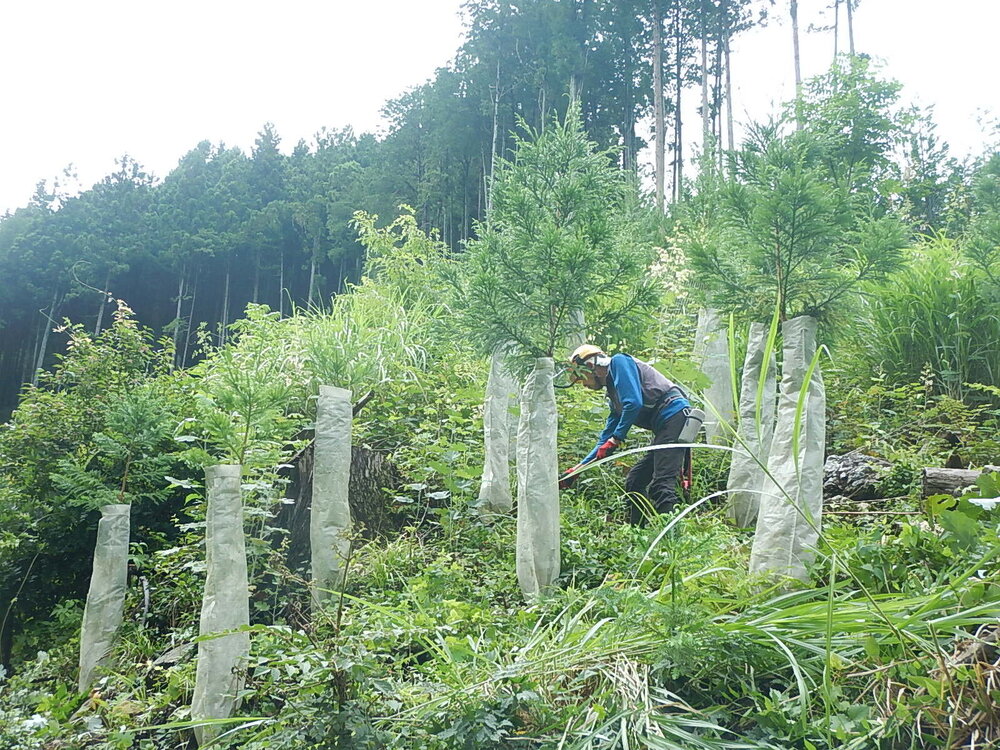 DSCN6797.JPG
