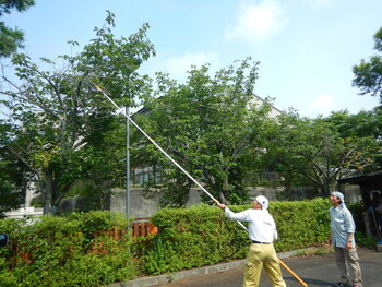 DSCN6829.JPG