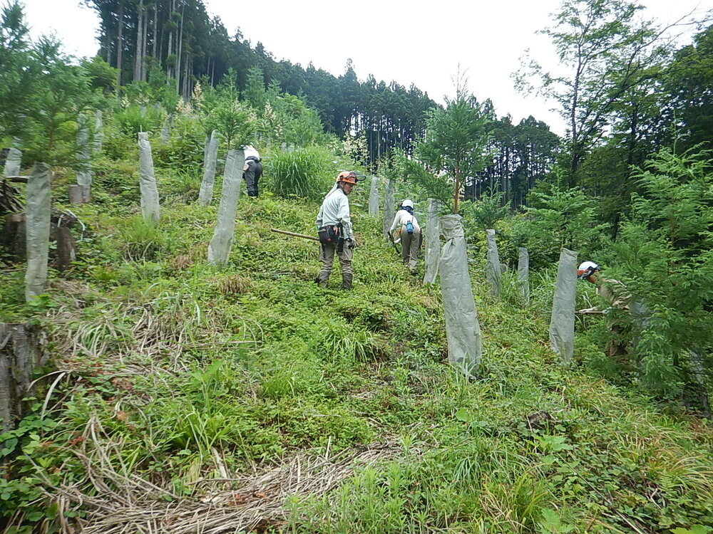 DSCN6838.JPG