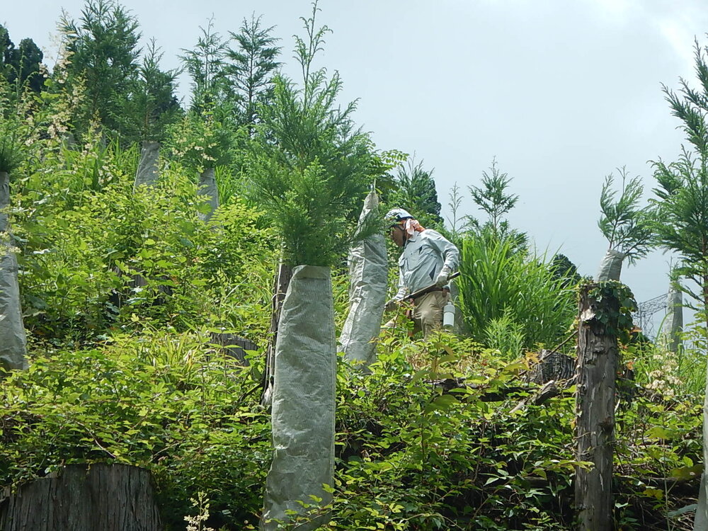 DSCN6855.JPG