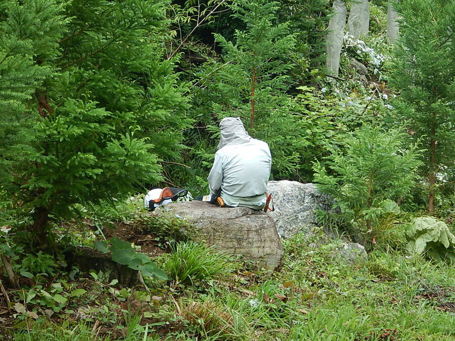 DSCN6866.JPG