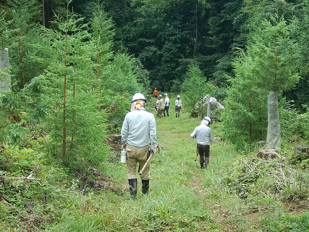 DSCN6894.JPG