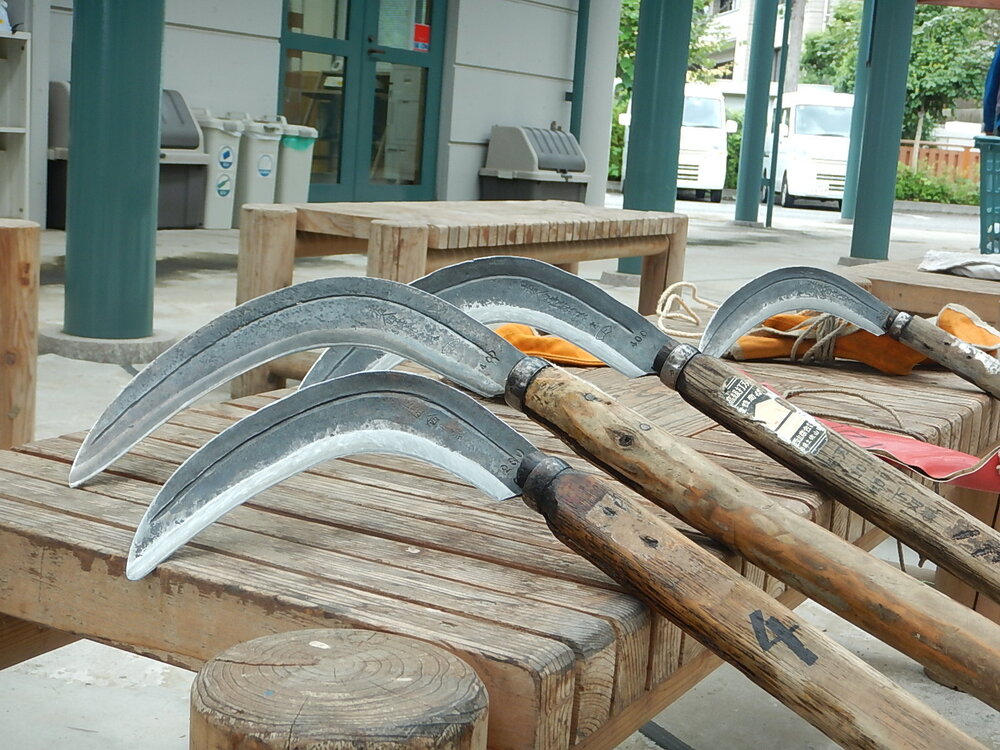 DSCN6927.JPG