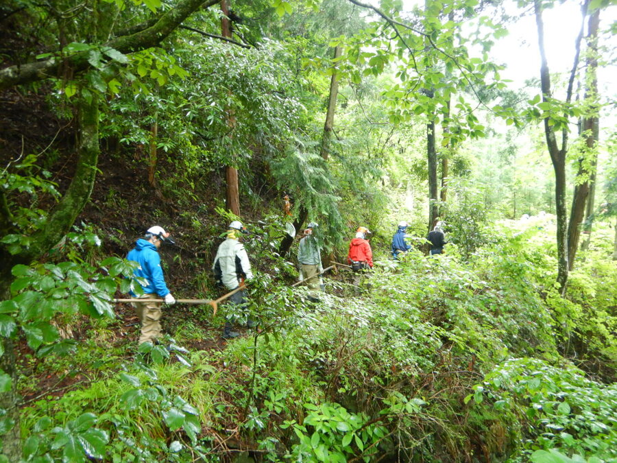 DSCN6955.JPG