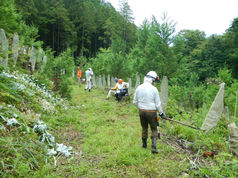 DSCN6979.JPG