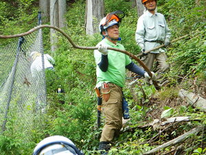 DSCN7131.JPG
